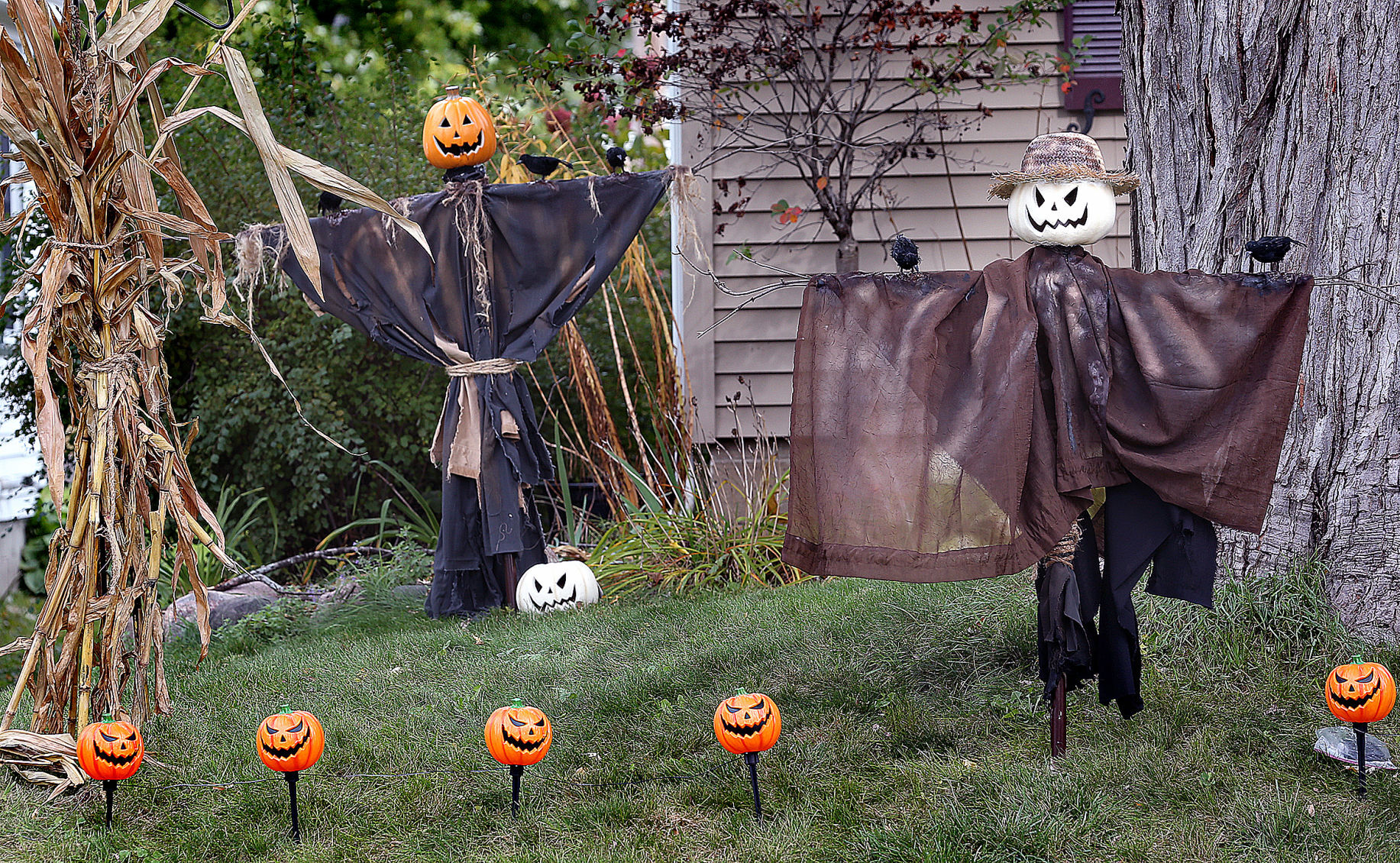 Halloween Houses